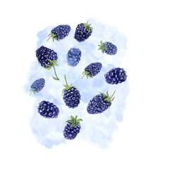 Juicy ripe blackberry with splashes berry juice. Watercolor summer botanical illustration. Flying dewberries on blue texture. For menu, cocktail party, flyer, posters, for the design of postcard - obrazy, fototapety, plakaty