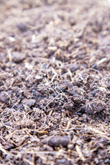 Ground for growing plants,Soil surface