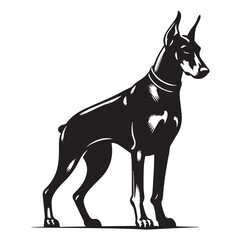Obraz premium Doberman's Legacy, Doberman Breed, Doberman Silhouette Black and White - illustration