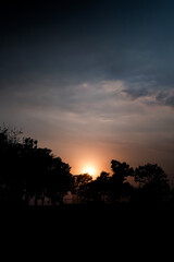 Captivating Sunset Silhouette