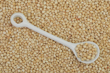 background of sorghum seeds with ceramic spoon. Top view. Flat lay.