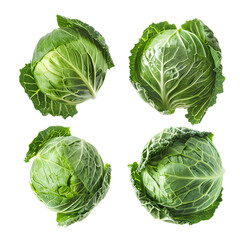 Fototapeta premium Set of Cannonball cabbage set isolated on Transparent Background. Ai generated 