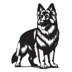 German Shepherd Silhouettes Showcase, Stylish Silhouettes for German Shepherd Lovers, German Shepherd Silhouette Black and White - illustration