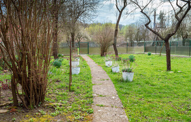 Beautiful garden of the house with path, fresh green grass, trees, flower pots and a wooden fence. Sunny spring day in the garden near the country. House with beautiful landscaped front yard
