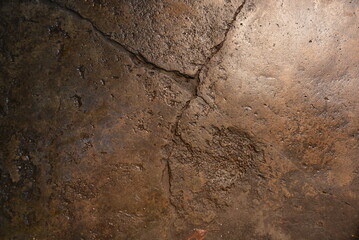 Building materials, wet concrete asphalt old after a rainstorm very bright brown background.