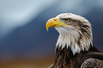 Majestic eagle: a captivating showcase of nature's prowess, bird , perched majestically, and embodying the spirit of freedom and untamed wilderness, a stunning visual ode to avian grace and power