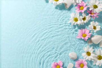 Vibrant calm: the quiet cheer of spring. Top view shot of white and pink daisies, white pebbles on a turquoise watery background with space for heartfelt messages