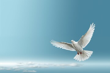 Obraz premium white dove flying free on light and soft blue and white background for freedom and relax design