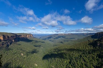 Fototapeta premium Blue Mountains