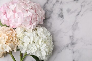 Beautiful pink hydrangea flowers on white marble background, top view. Space for text