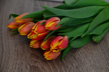 Tulip, tulips bouquet. Present for March 8, International Women's Day. Holiday decor with flowers. Bouquet with colorful tulips. Red tulip, yellow tulip. Holiday floral decor. Spring tulips, bouquet