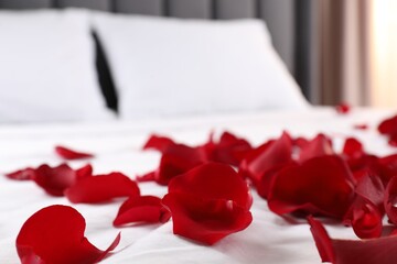 Fototapeta na wymiar Honeymoon. Beautiful rose petals on bed, closeup