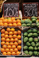Oranges and avocados in boxes to sell at a market