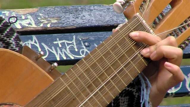 A Woman Playing A Typical Chilean Stringed Instrument Called "Chilean Guitarron". Close Up.