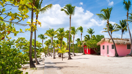 Colorful houses on Catalina beach, dominican republic with palm trees - 748240602