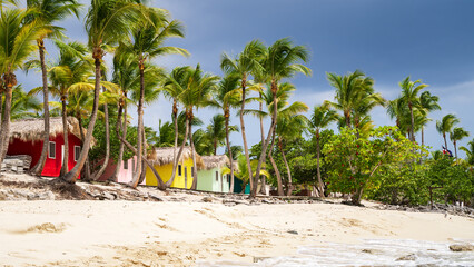 Colorful houses on Catalina beach, dominican republic with palm trees - 748240603