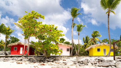 Colorful houses on Catalina beach, dominican republic with palm trees - 748240655