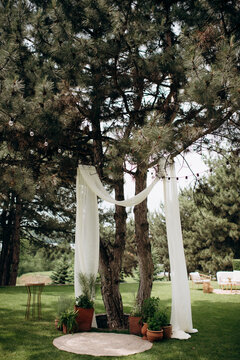 Trends of wedding ceremonies decor with fabrics on a tree and live green plants in tslay pocs. Natural wedding decor on a horseradish lavn