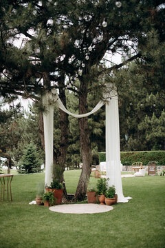 Trends of wedding ceremonies decor with fabrics on a tree and live green plants in tslay pocs. Natural wedding decor on a horseradish lavn