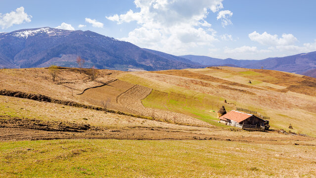 carpathian countryside scenery in early spring. mountainous rural landscape with rolling hills covered with weathered grass. warm sunny day