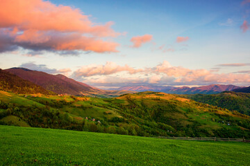 carpathian countryside scenery with grassy meadows and forested hills in evening light. mountainous...