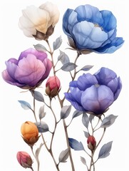 Cotton Plant Flower Illustration - Hand Drawn Watercolor Generative AI