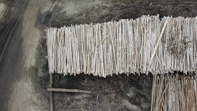Vis&atilde;o a&eacute;rea de toras de madeira eucaliptos para a produ&ccedil;&atilde;o de papel e celulose na cidade de suzano, s&atilde;o paulo, brasil