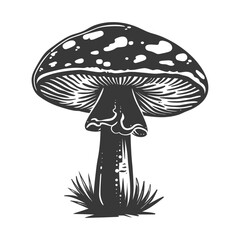 Silhouette mushroom black color only