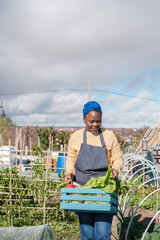 Young woman collecting vegetables from the cooperative's ecological garden. Concept: investment