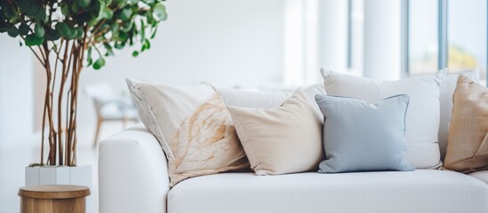 A white couch with a decorative pillow and a potted plant in a simple living room setup. The couch is the focal point, complemented by the greenery of the plant.