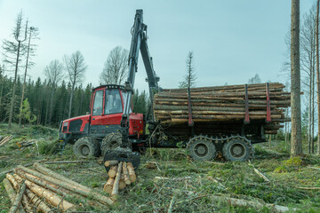 Logging equipment,forwarder loading loogs of pulpwood.