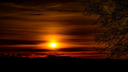 Autumn sunset seen through trees in Podlasie.