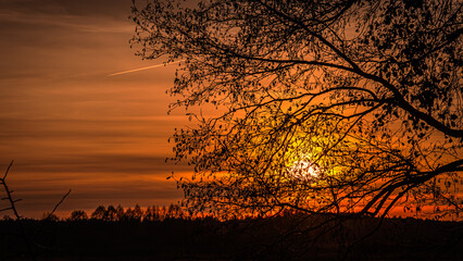 Autumn sunset seen through trees in Podlasie.