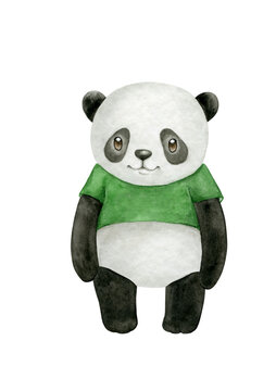 Panda in green t-shirt in cartoon style. Watercolor illustration of a smiling baby bear isolated on transparent background.