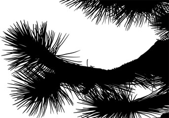 Obraz premium ramas, arboles, siluetas, vegetacion, roble, bosque, paisaje, vector, hojas, abstracto, sauce, tronco, malesa, pegatina