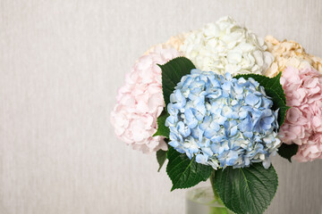 Beautiful hydrangea flowers in vase near light gray wall, closeup. Space for text