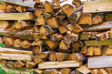 Brennholz - Allgäu - Holz - Bäume - Holzscheit