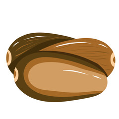 Dates Fruit Illustration