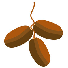 Obraz premium Dates Fruit Illustration