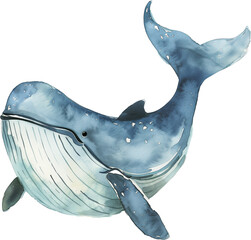 Watercolor Whale - 748264687