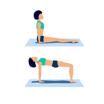 Ardha purvottanasana or reverse tabletop yoga pose. Crab pose for respiratory and endocrine systems stimulation. Woman workout educational scheme for physiotherapist, brochure, app, web. Vector