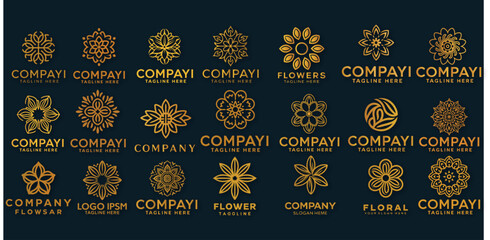 Floral ornament logo abstract and flower logo design