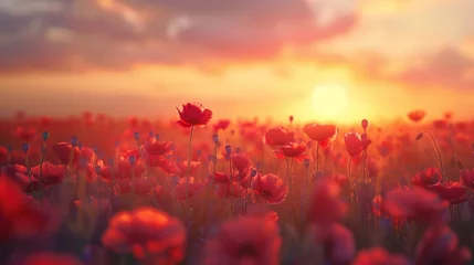 Fototapeten poppy field at sunset. Generative AI © Malaika