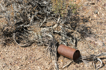 Old rusted can among sagebrush in Nevada desert.  