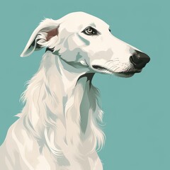 white borzoi dog