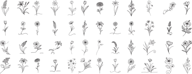 Crédence de cuisine en verre imprimé Une ligne flowers and herbs doodle style, collection set, hand drawing one line