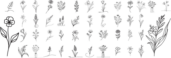 flowers and herbs doodle style, collection set, hand drawing one line