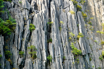 Close up of limestone cliffs
