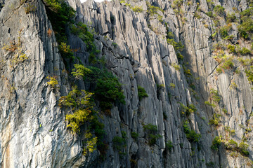 Close up of limestone cliffs