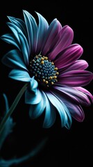a close up of a flower